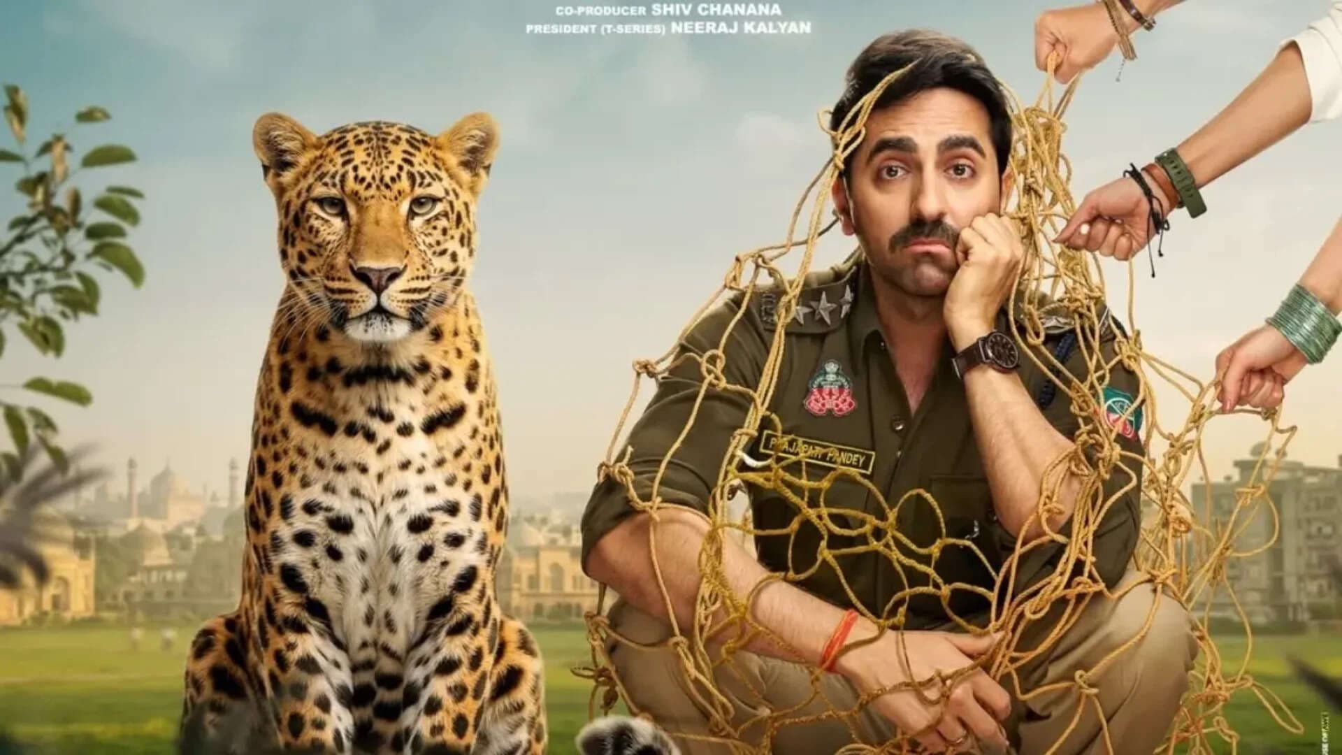 Ayushmann Khurrana's 'Pati Pani Aur Woh Do' Breezes Past ₹55 Crore Globally!